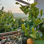 Liget Vendeghaz Harsfa U 11 Guest house Cserszegtomaj