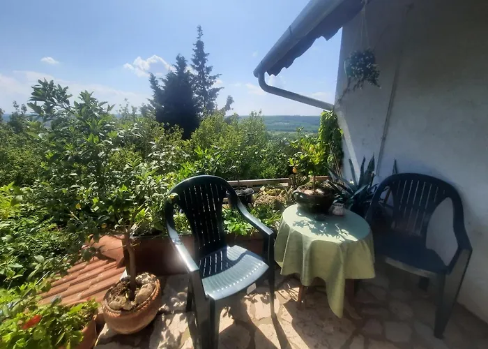 Vendégház Liget Hársfa U 11 4*